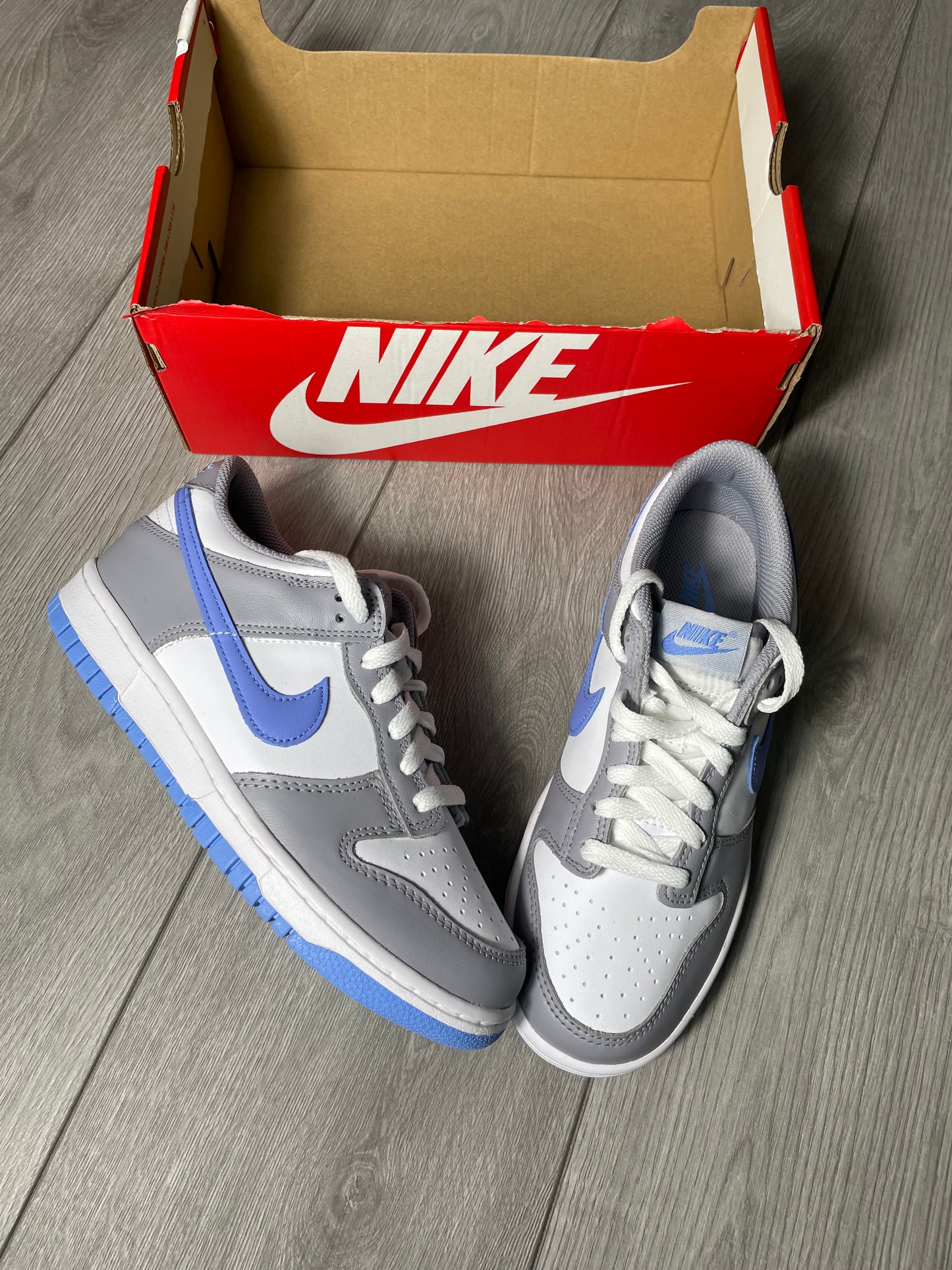 Nike Dunk Low (GS)