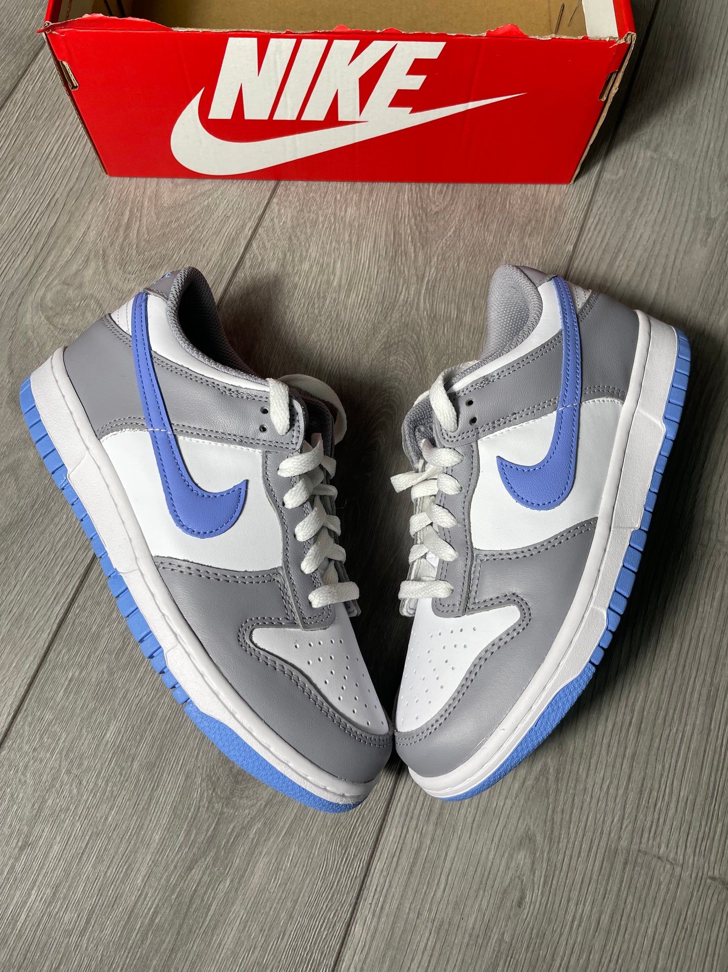 Nike Dunk Low (GS)