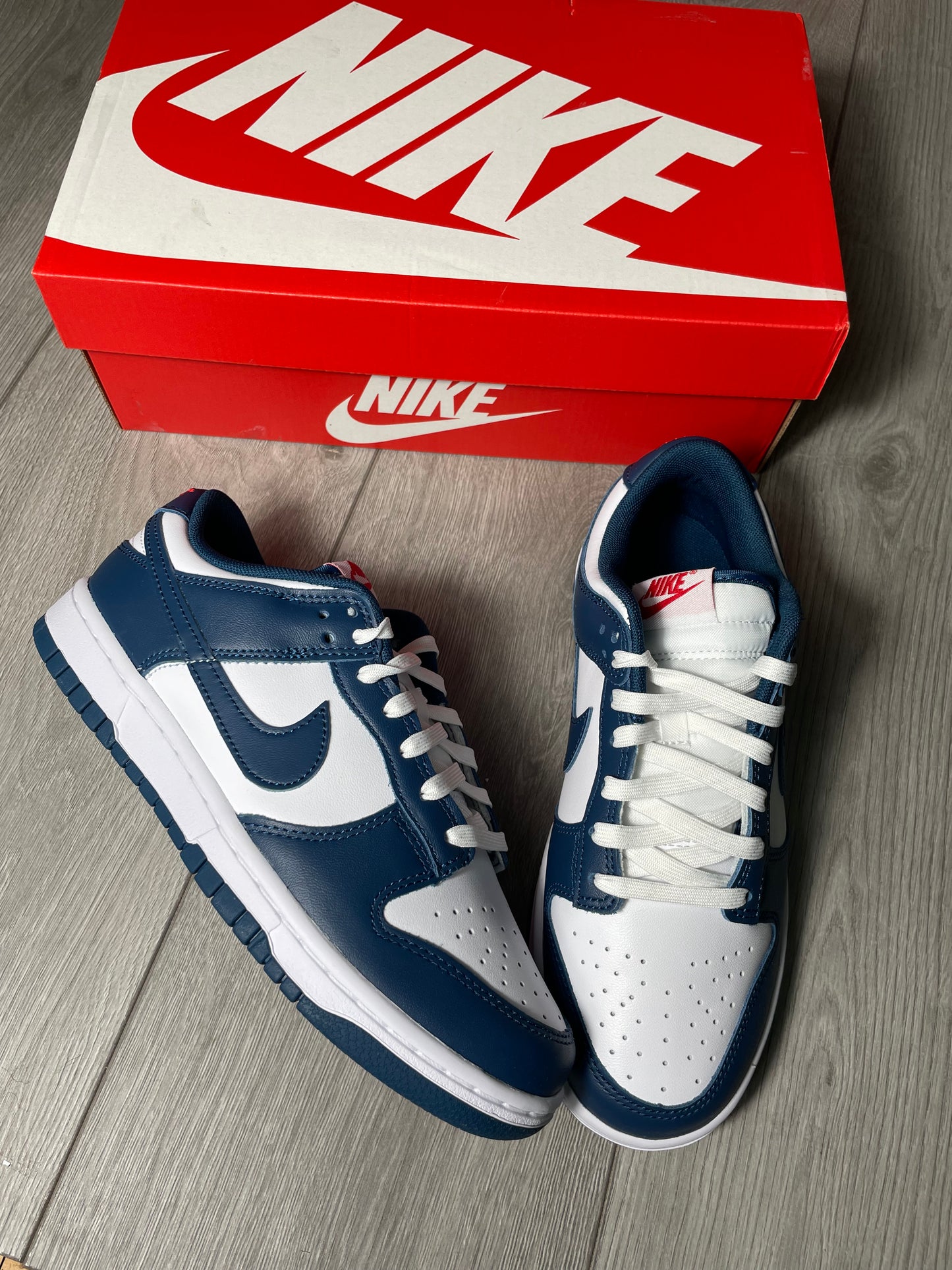 Nike Dunk Low Retro