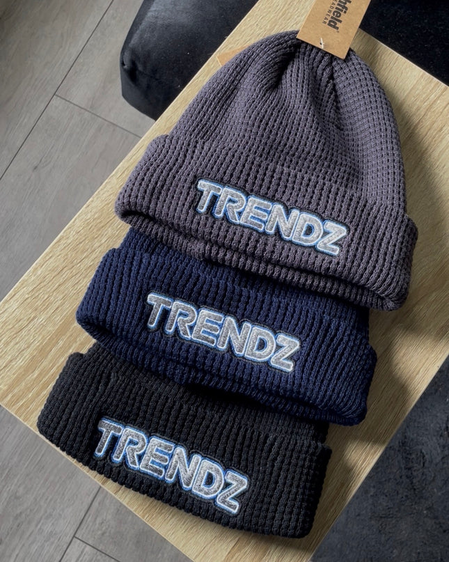 Trendz Beanie Hats