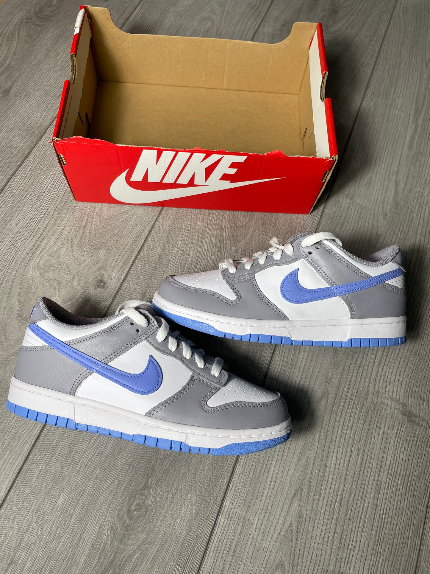Nike Dunk Low (GS)