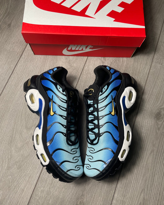 Nike Tn Sky Blue