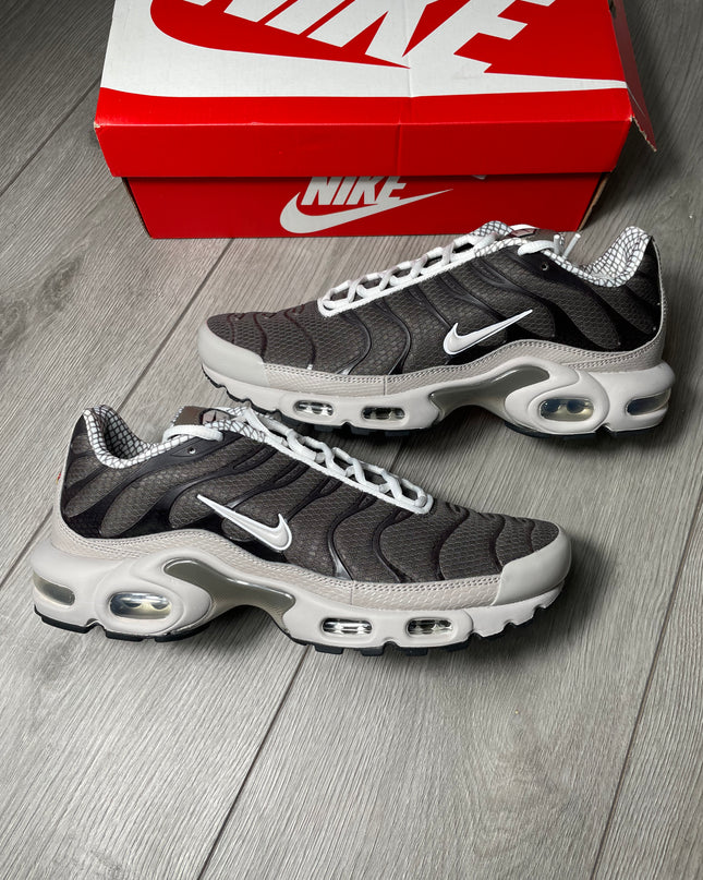 Nike TN Year Of The Snake